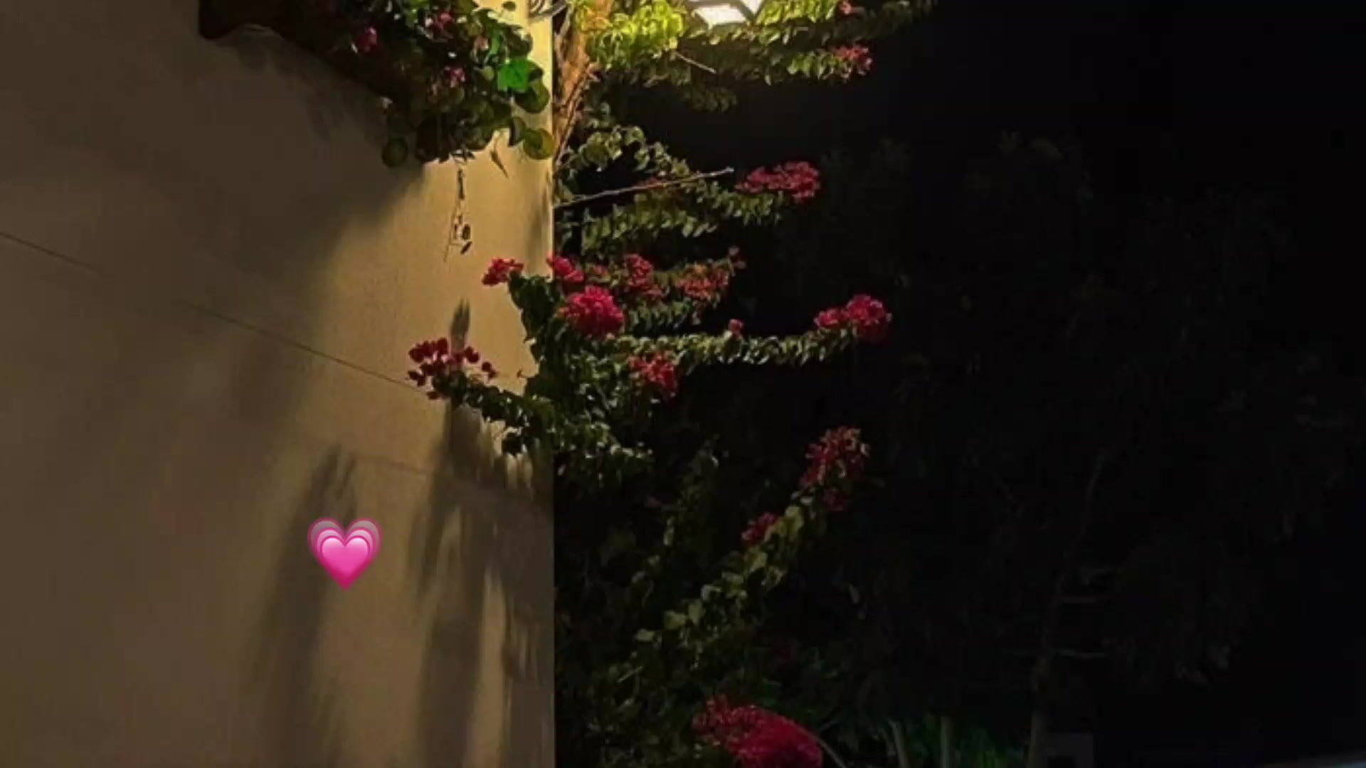 @💗