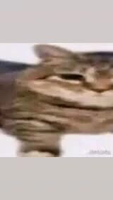 @HusSxain
