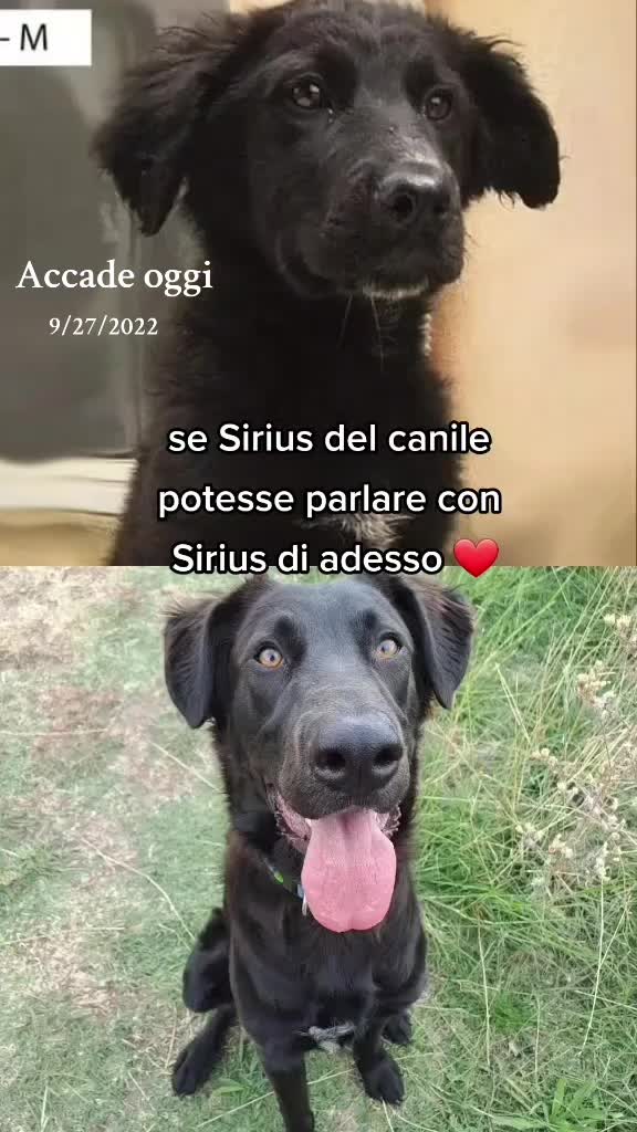 @Kiki AryaSirius Carrara