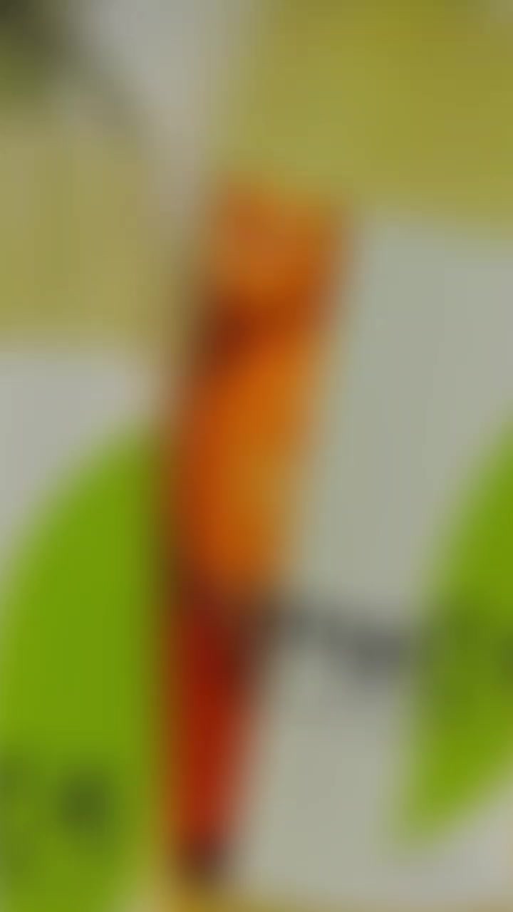 @yulia