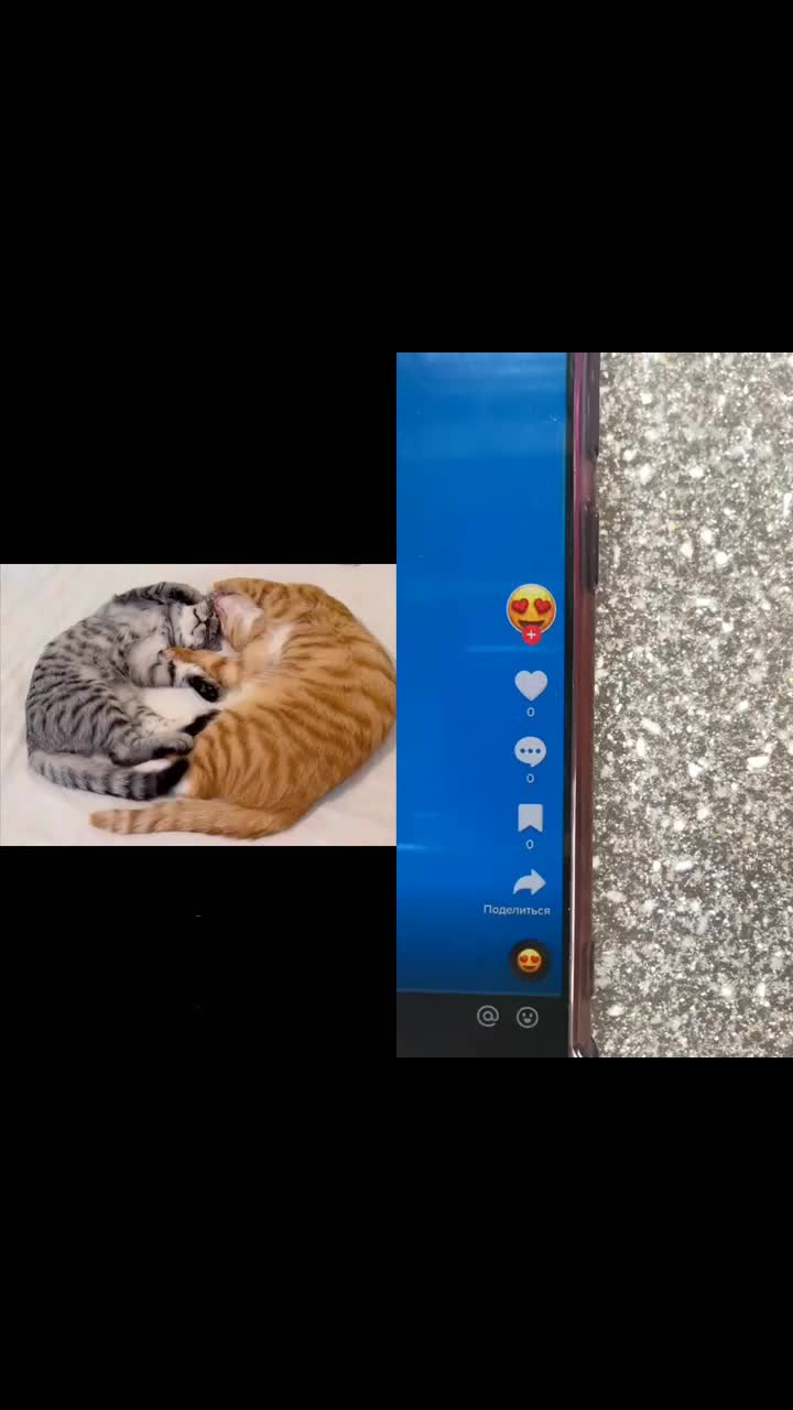 @MAX544Y54
