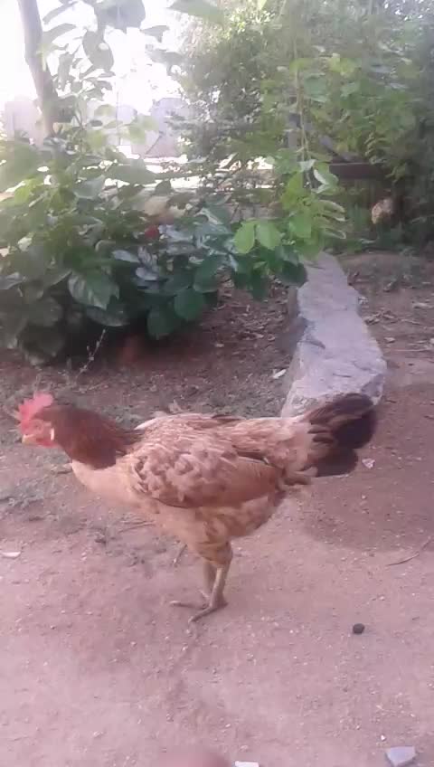 @@kadari shirisha