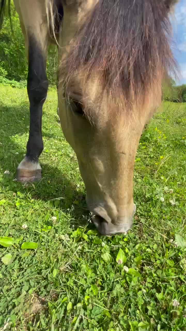 @Татьяна Сачкова212