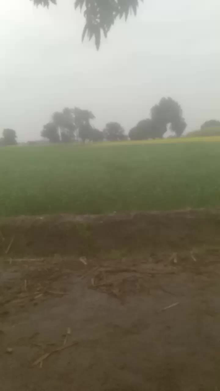 @mujahid06277