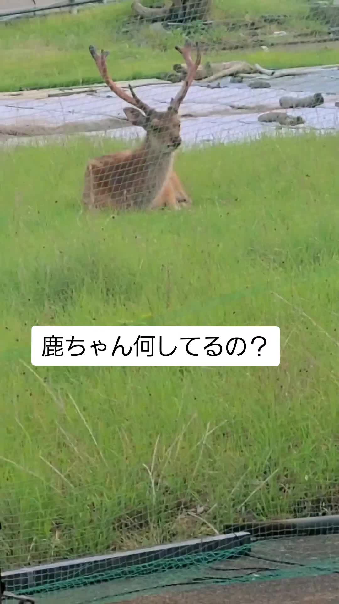 @なおくん✌️