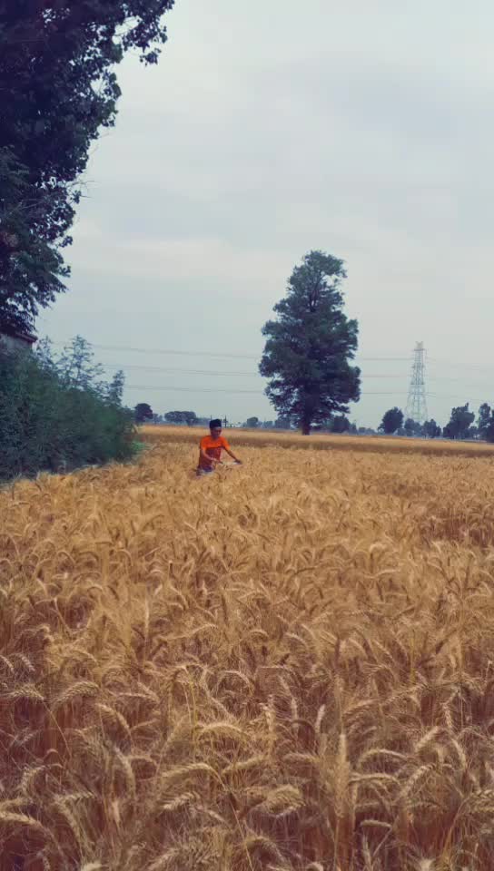 @Mehak Bhullar