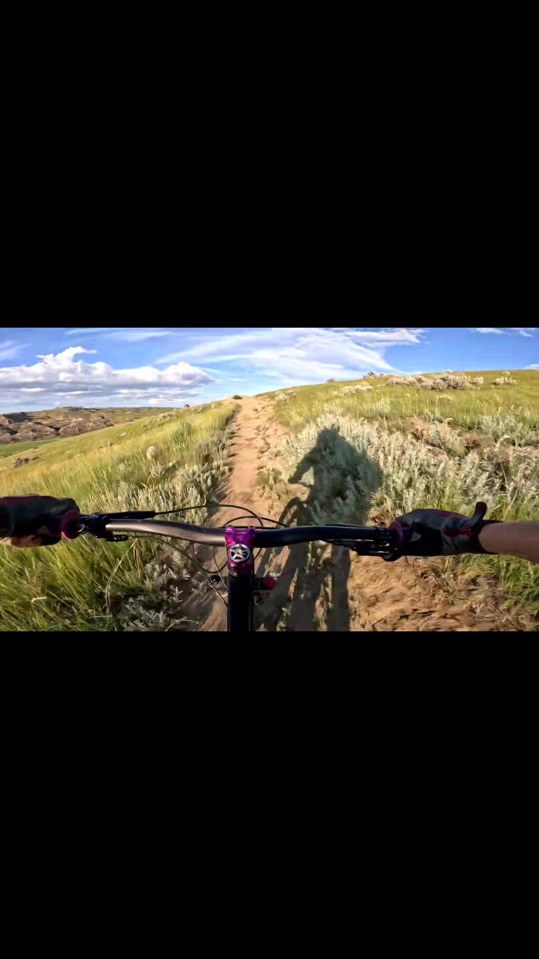 @Broken Sprocket MTB