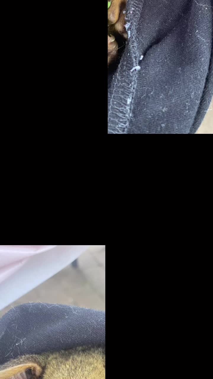 @wwwxvjav