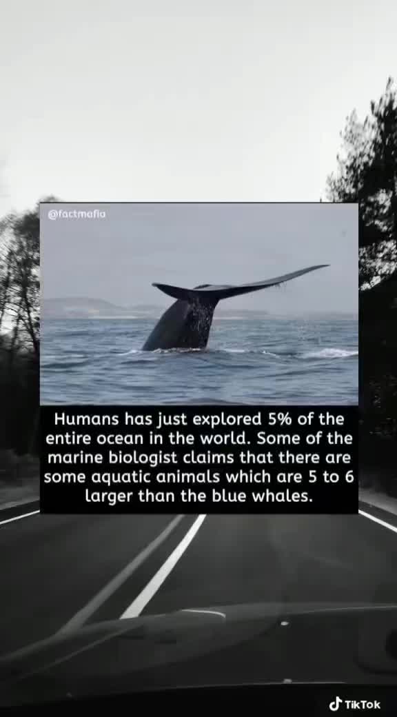 @the_scaryposts