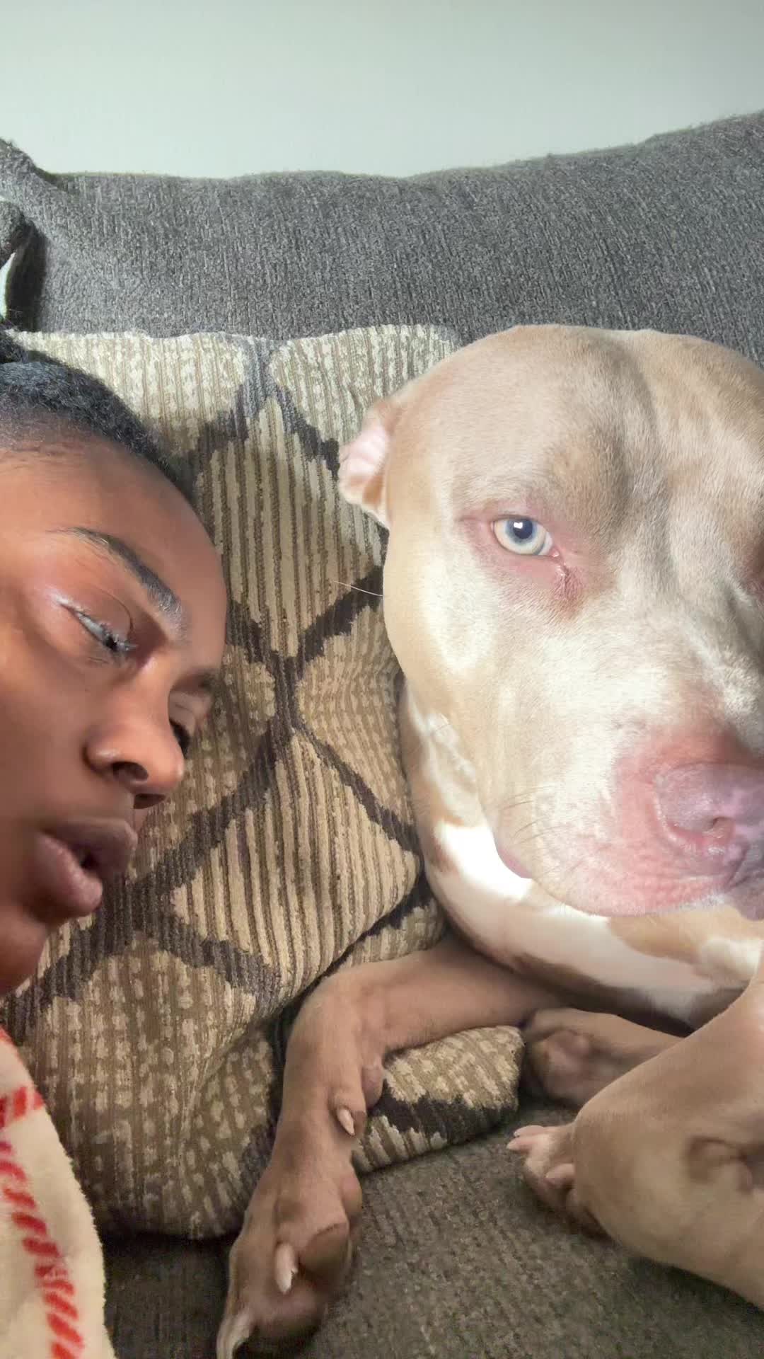 @Br&eacute;