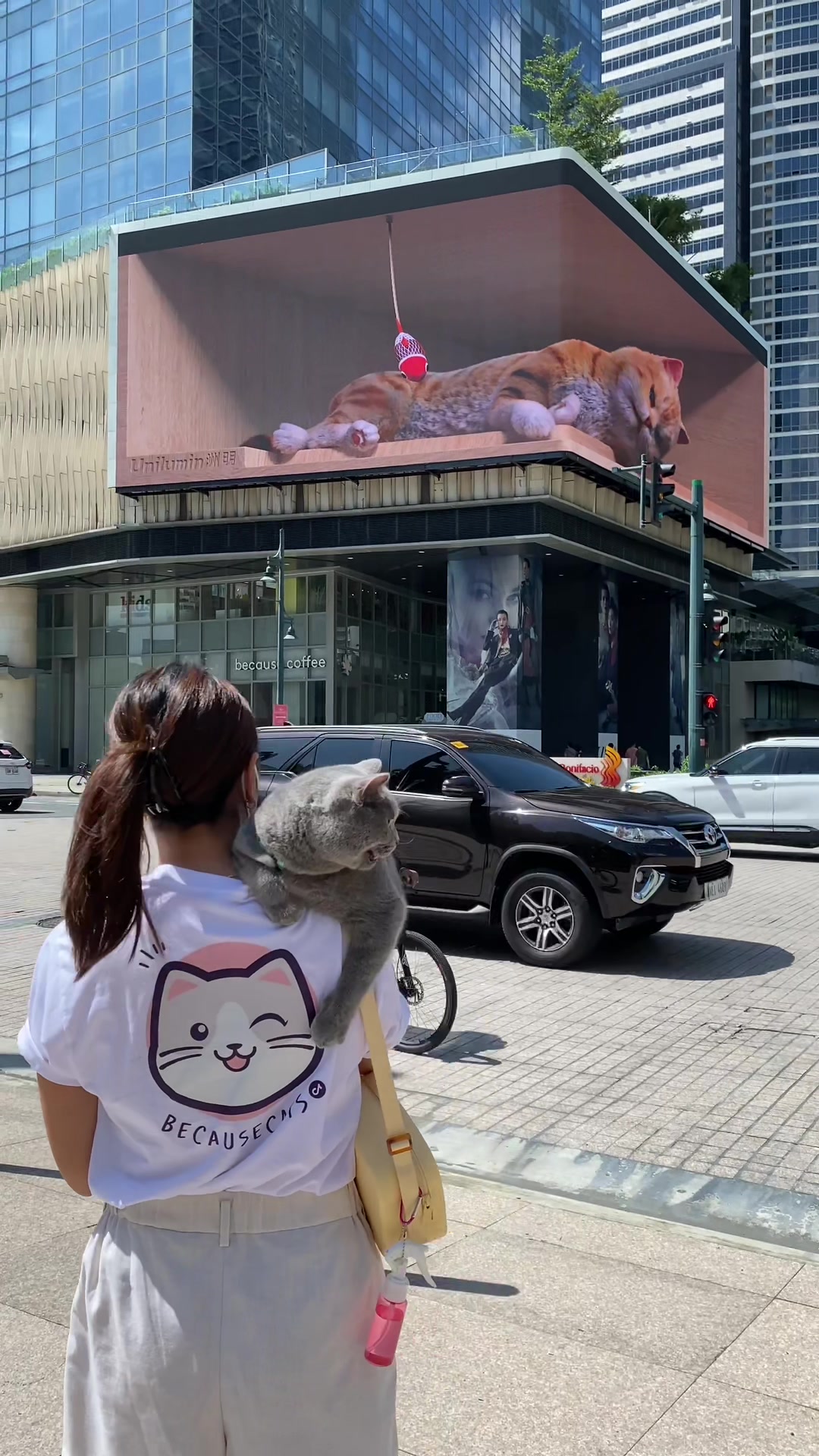 @BecauseCats