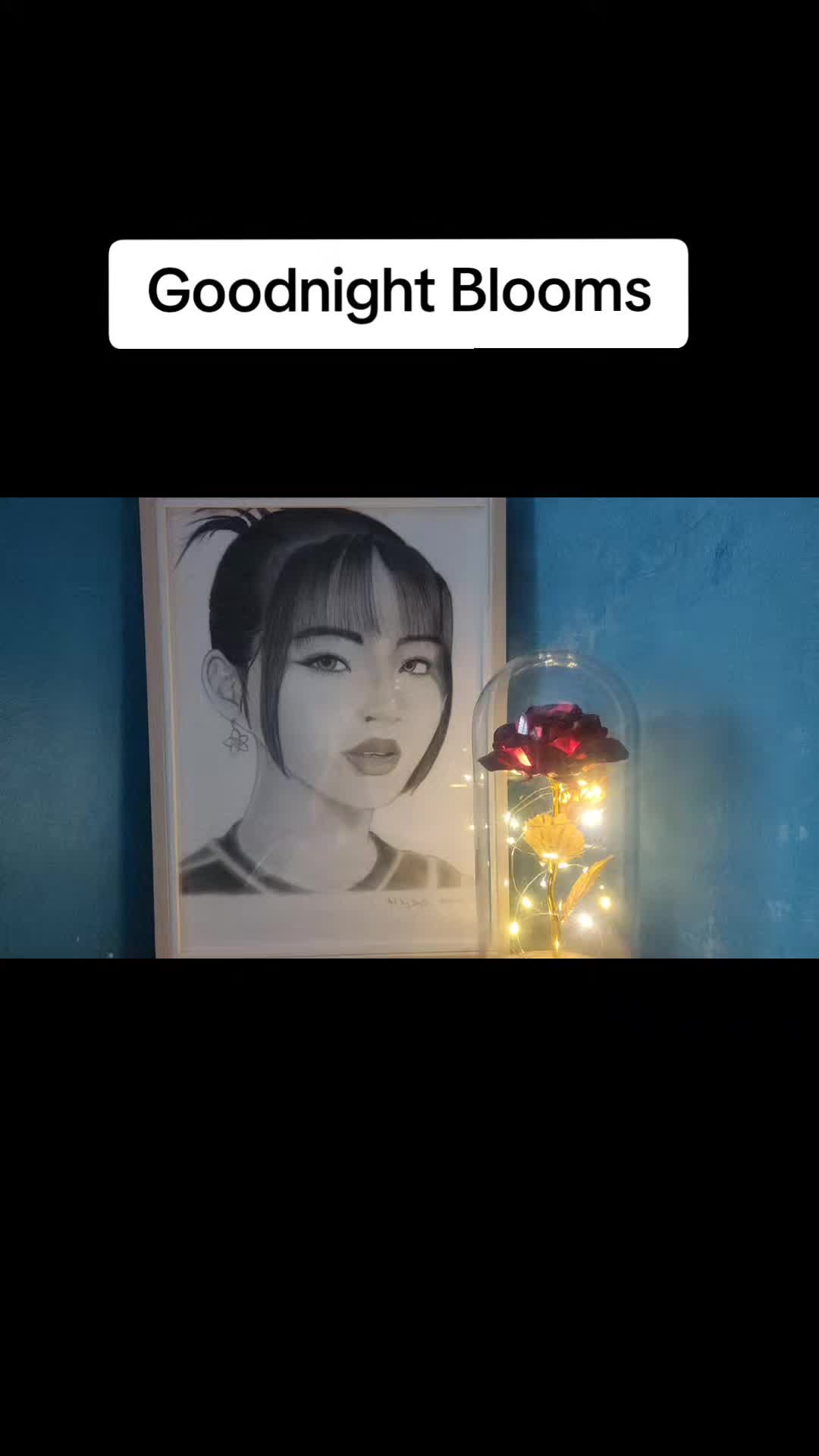 @NoctisLucis29