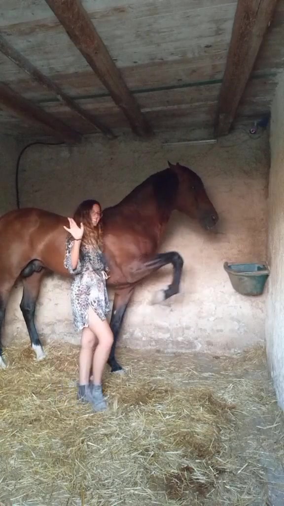 @Chiara Vitali 🐴