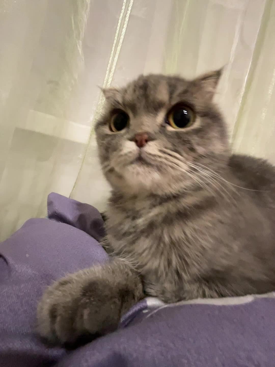 @Тгк в описании💘