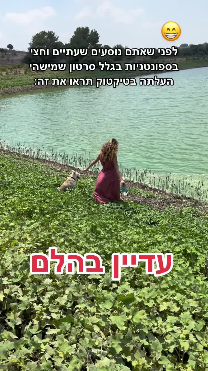 @💛 נוגה גפן - Noga Gefen 💛