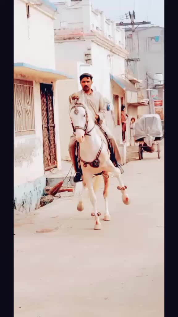 @Malik_Irfan_Shahbazi