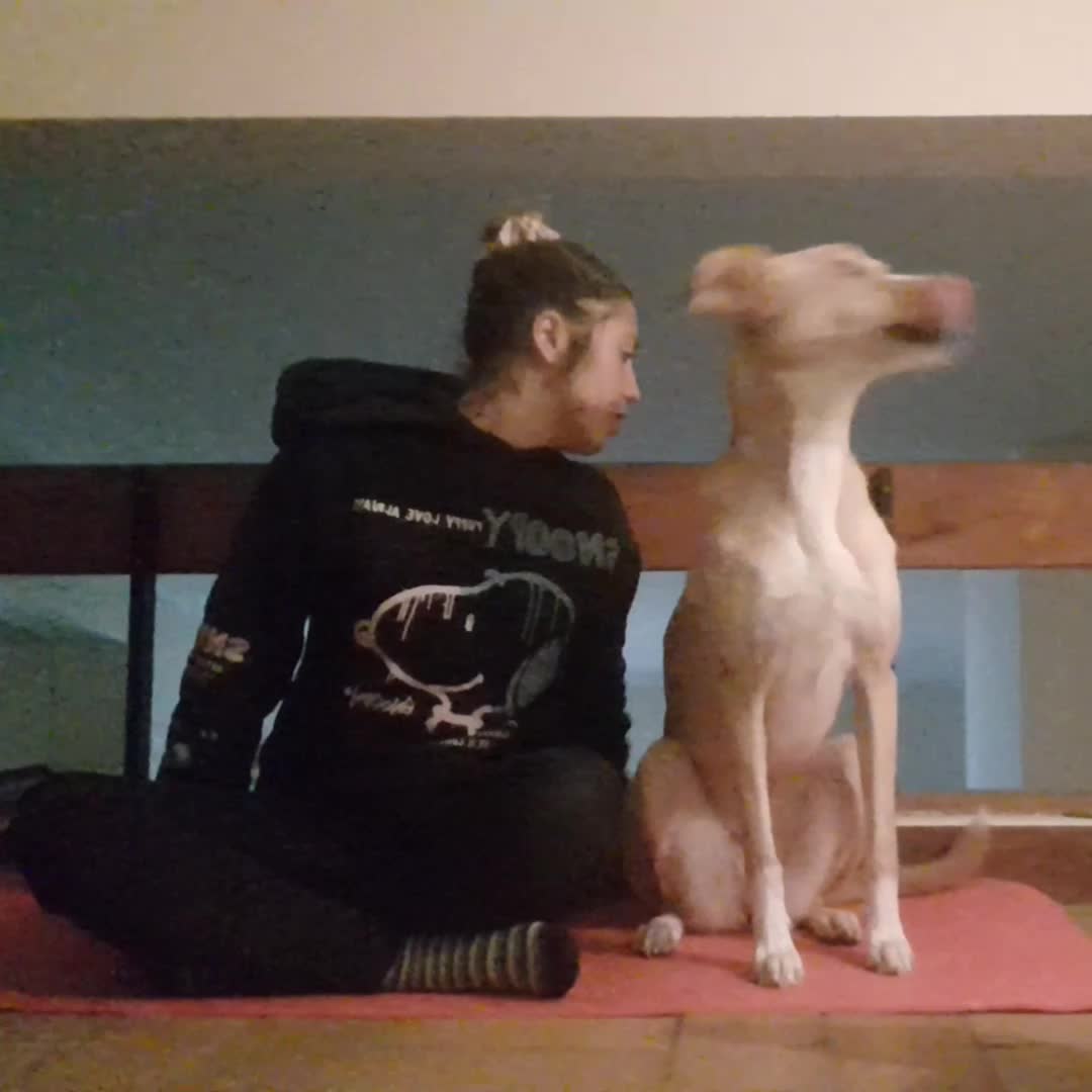 @superdogflor and company