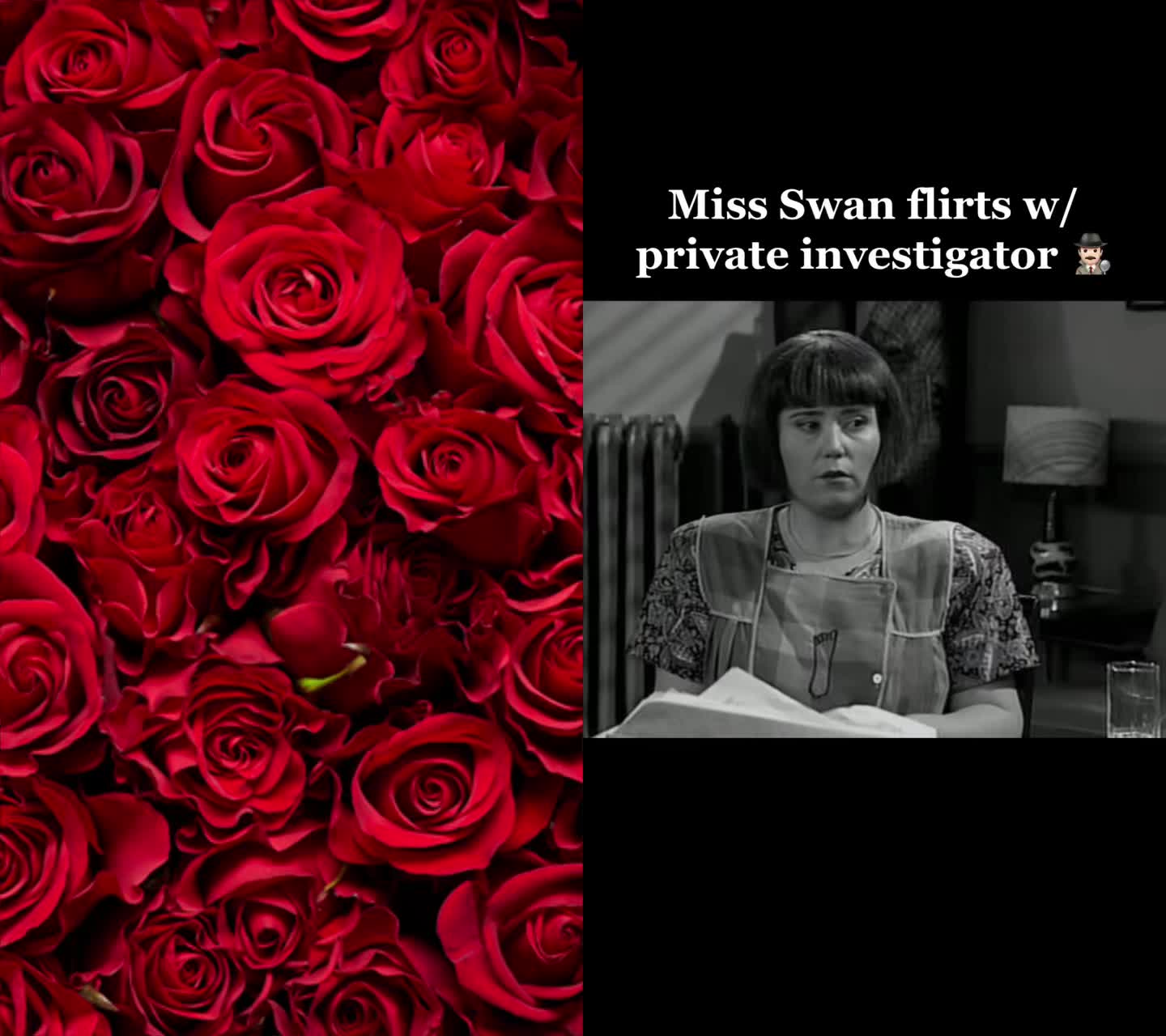 @njdemiandro