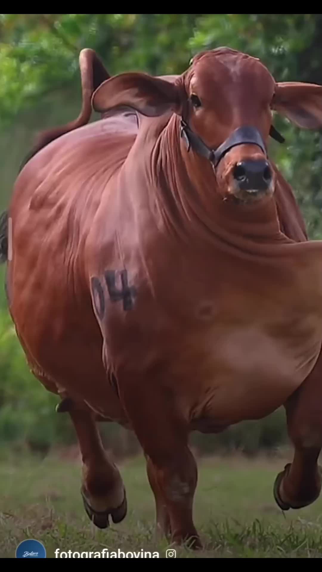 @user46997312457