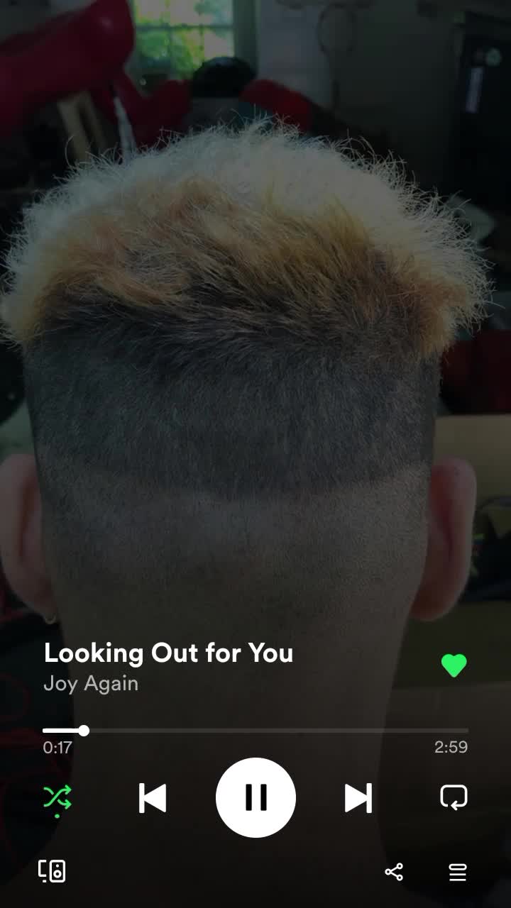 @kai/haley