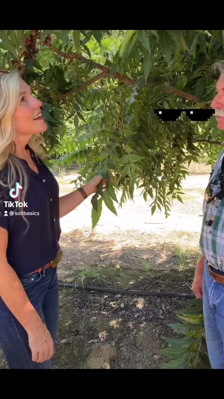 @soilbasics