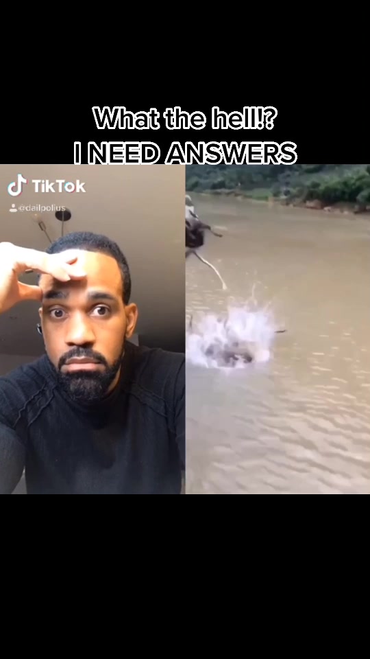 @DalienWorld