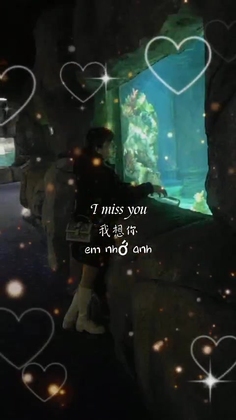 @꧁꫞Trinh Nguyễn꫞꧂