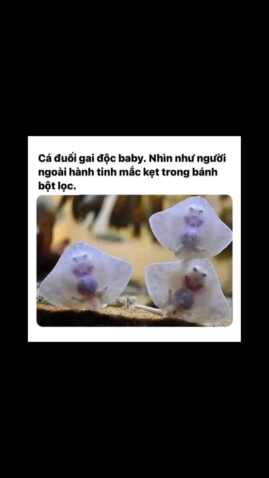 @YuMi
