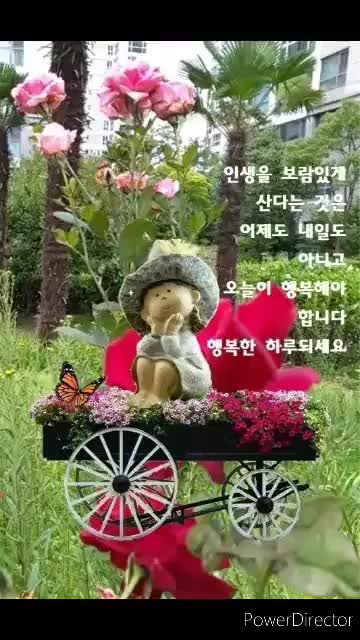 @바라보기