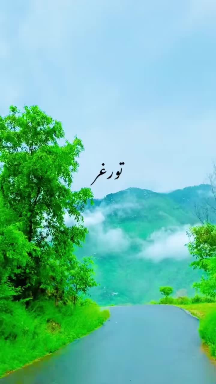 @ibad556