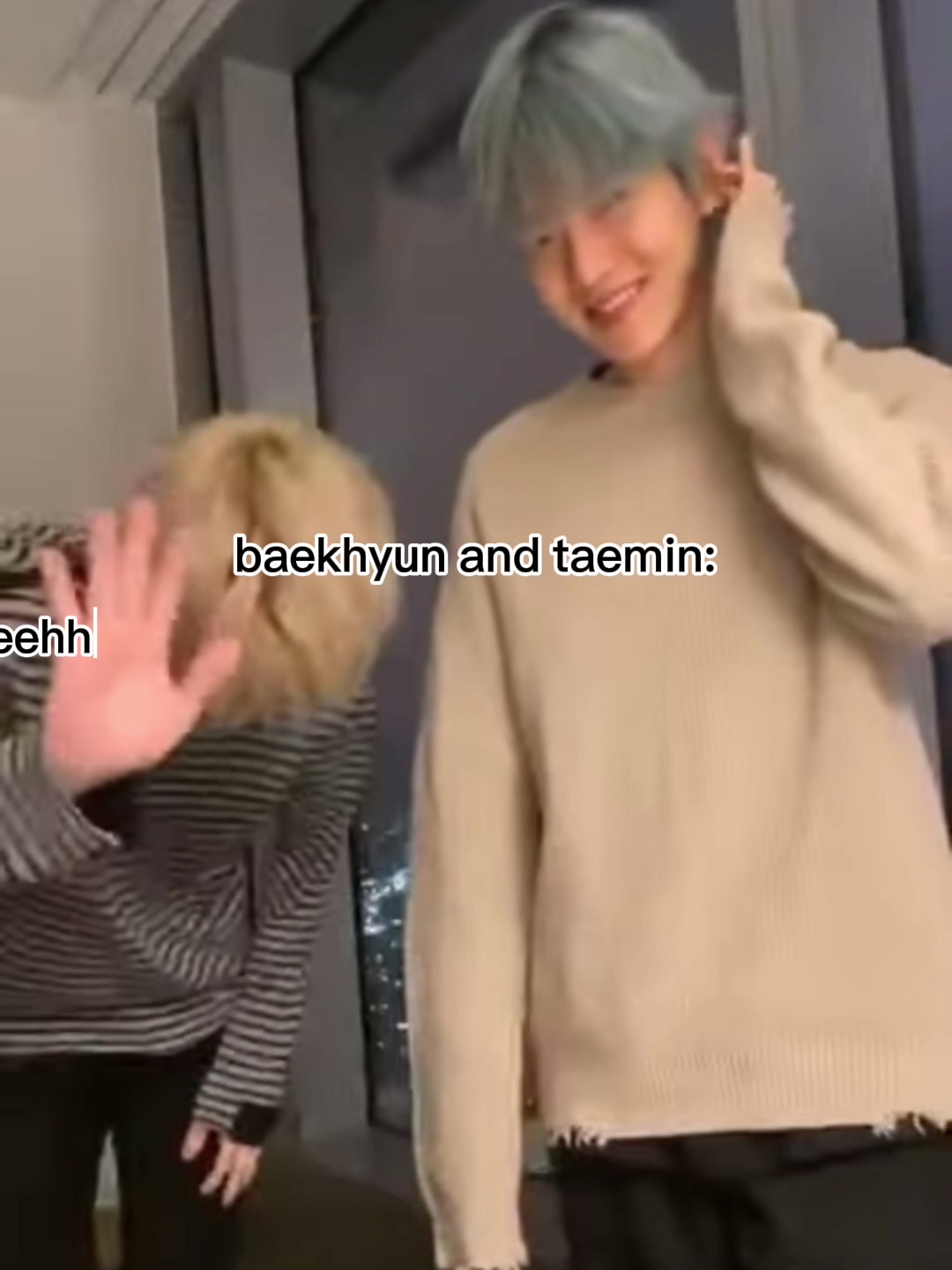 @taeminslittlewaist