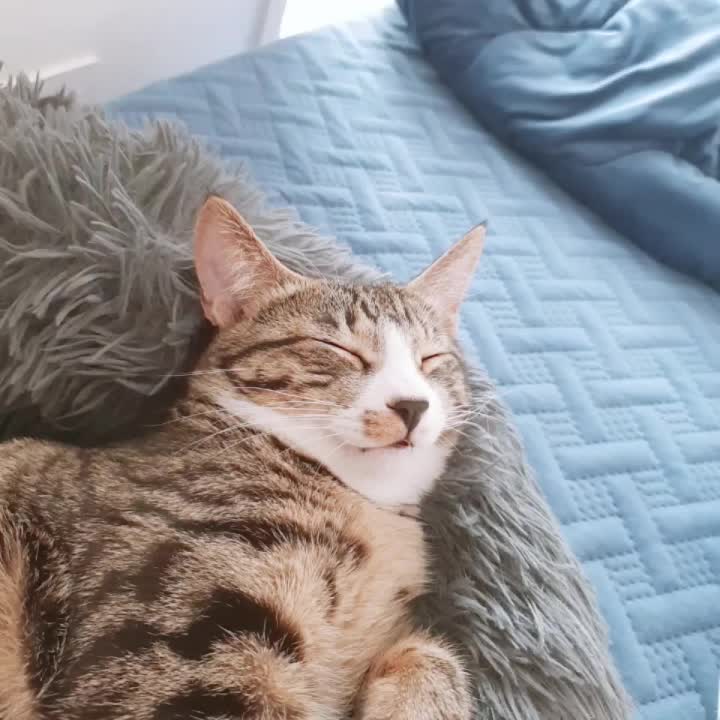 @민길이