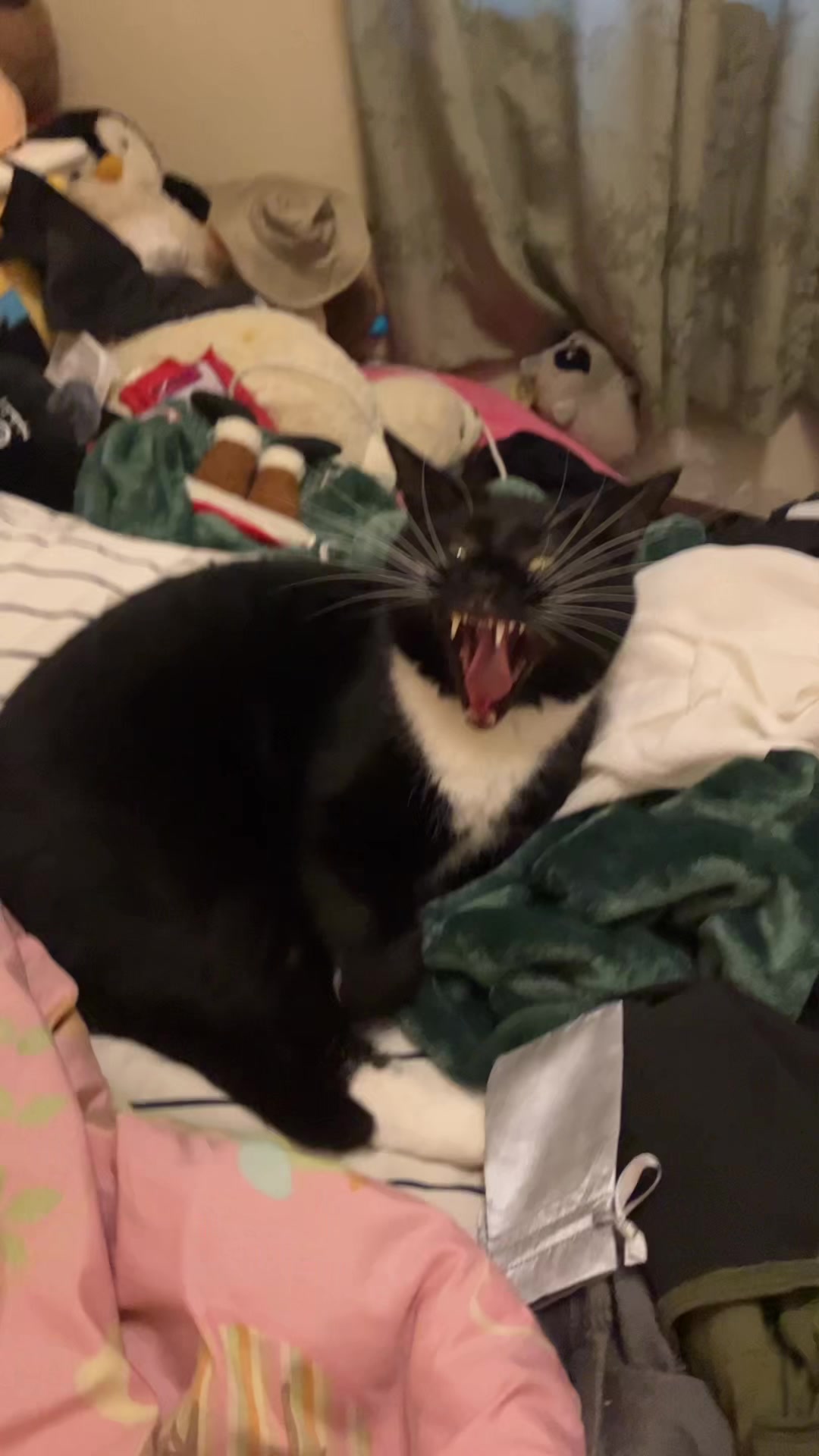 @Dr. Nightbloom