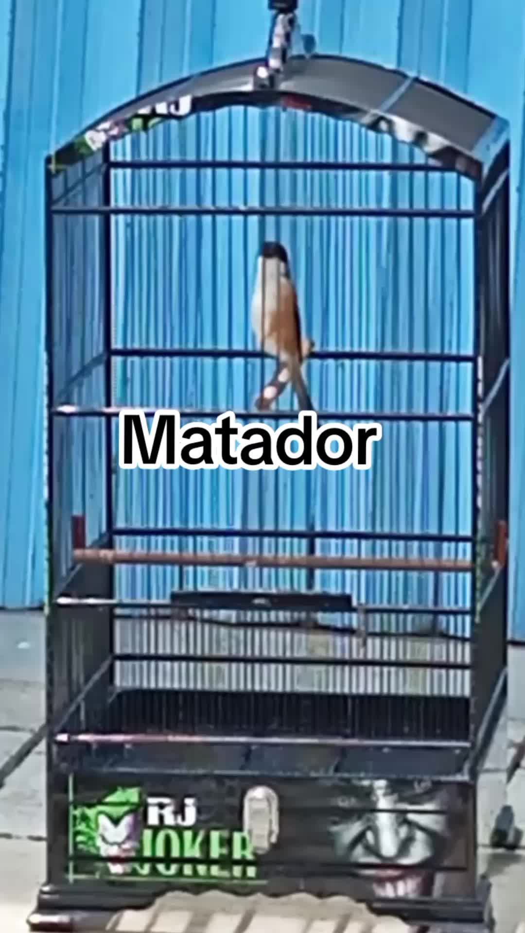 @Eka_Santana