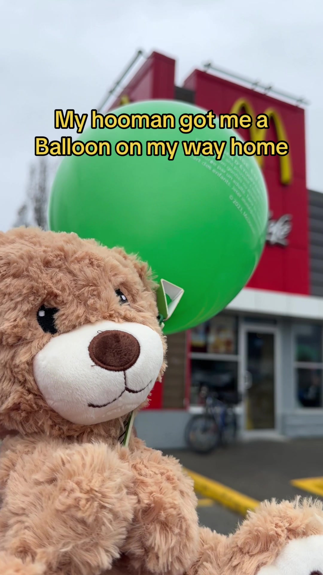 @🧸 Pookie Wookie Woo Bear 🧸