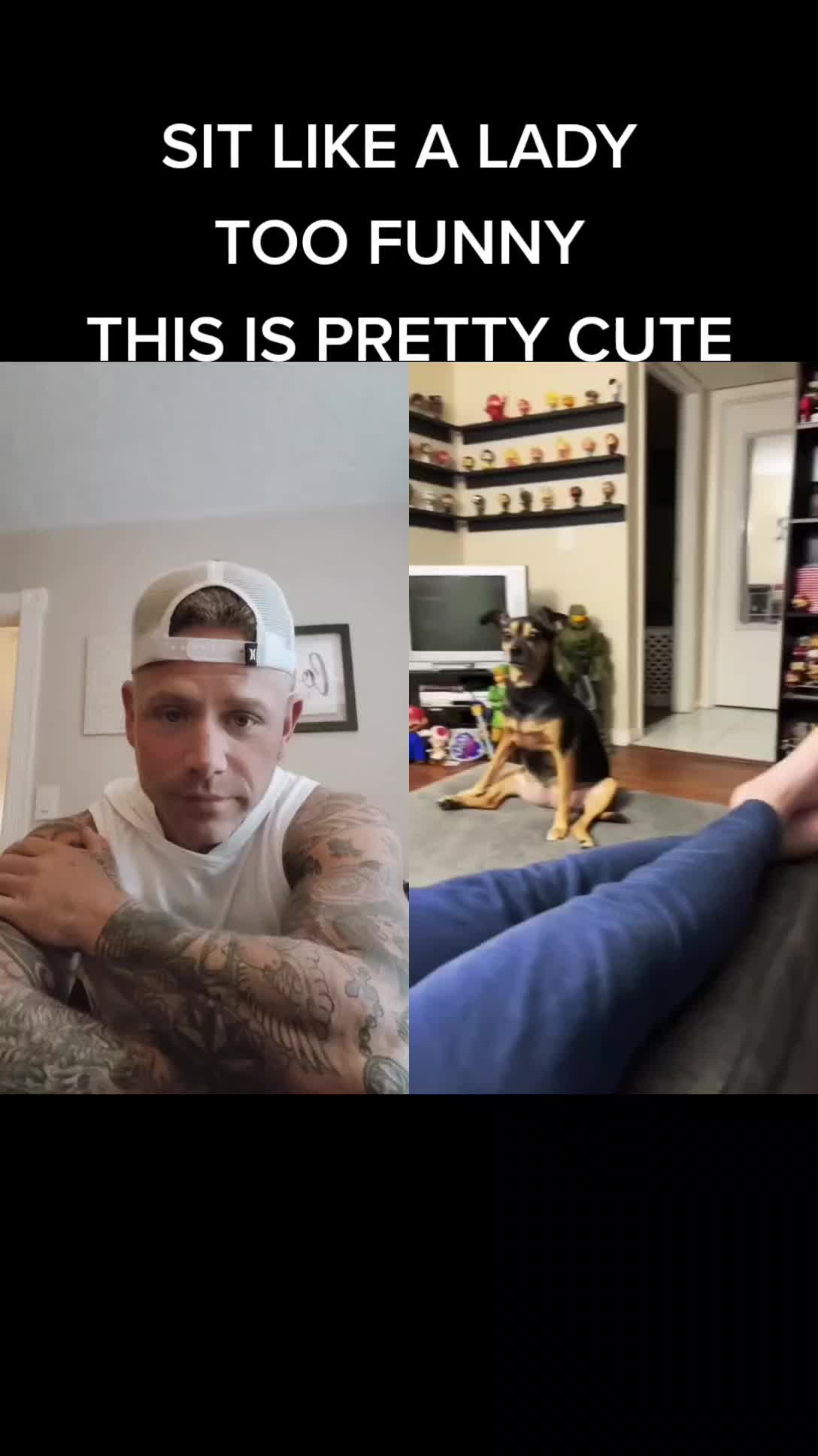 @Shredmaster3000