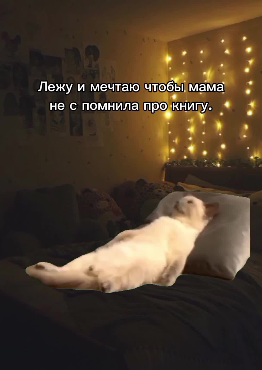 @Dart_Night_Light