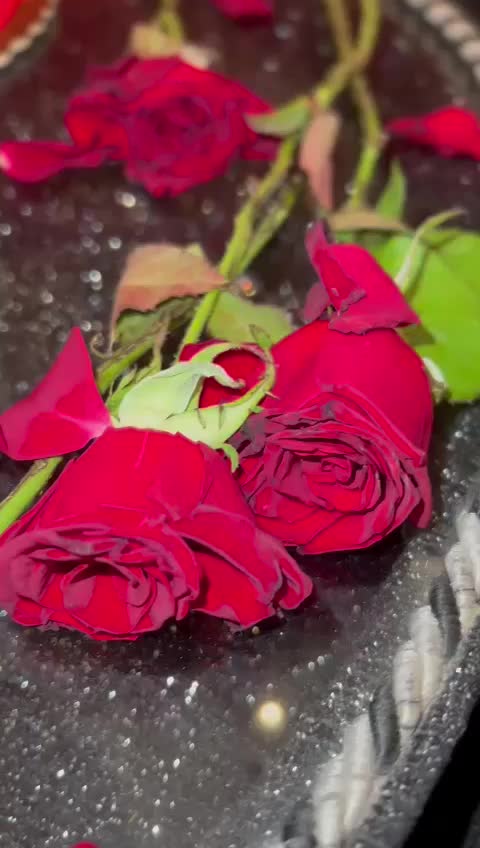 @Lara Abu Hassan
