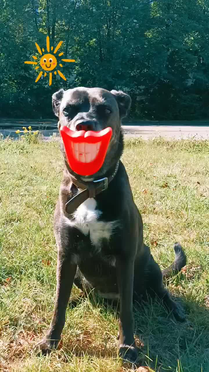 @♈𝑴𝒂𝒕𝒛𝒊𝑴𝒂𝒕𝒛𝒆♈