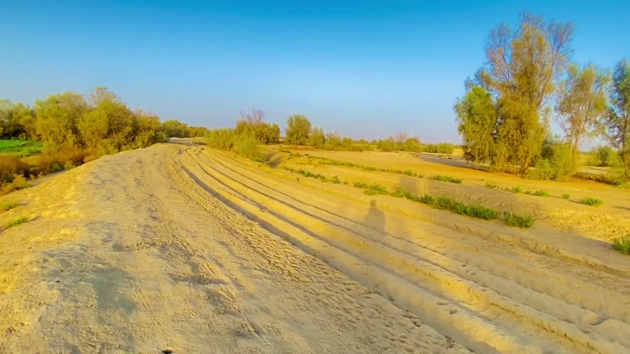 @shehzad kubdani
