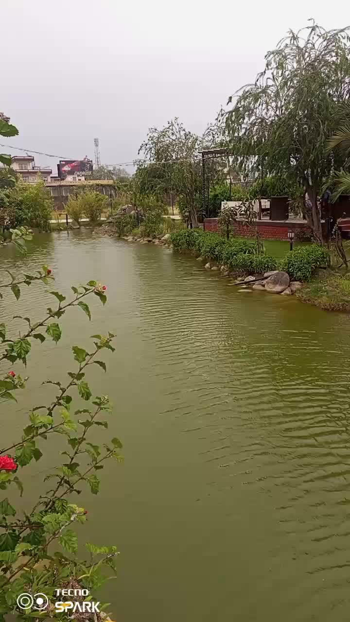 @sarasawati-tiwari1/
