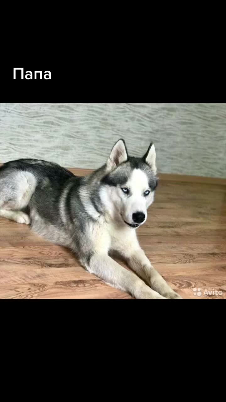 @МОНАВЛЮ