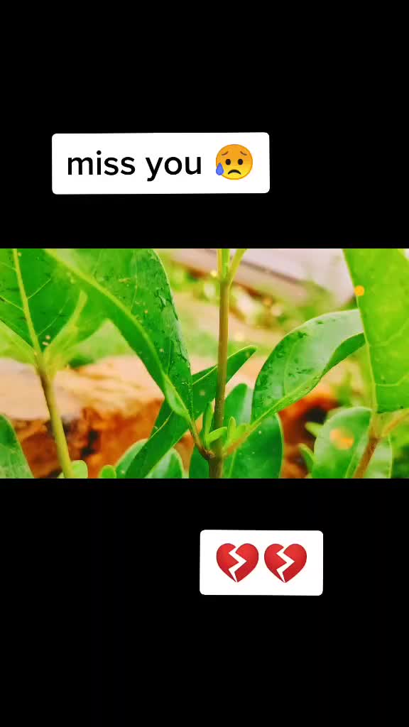@Ghaint Maan