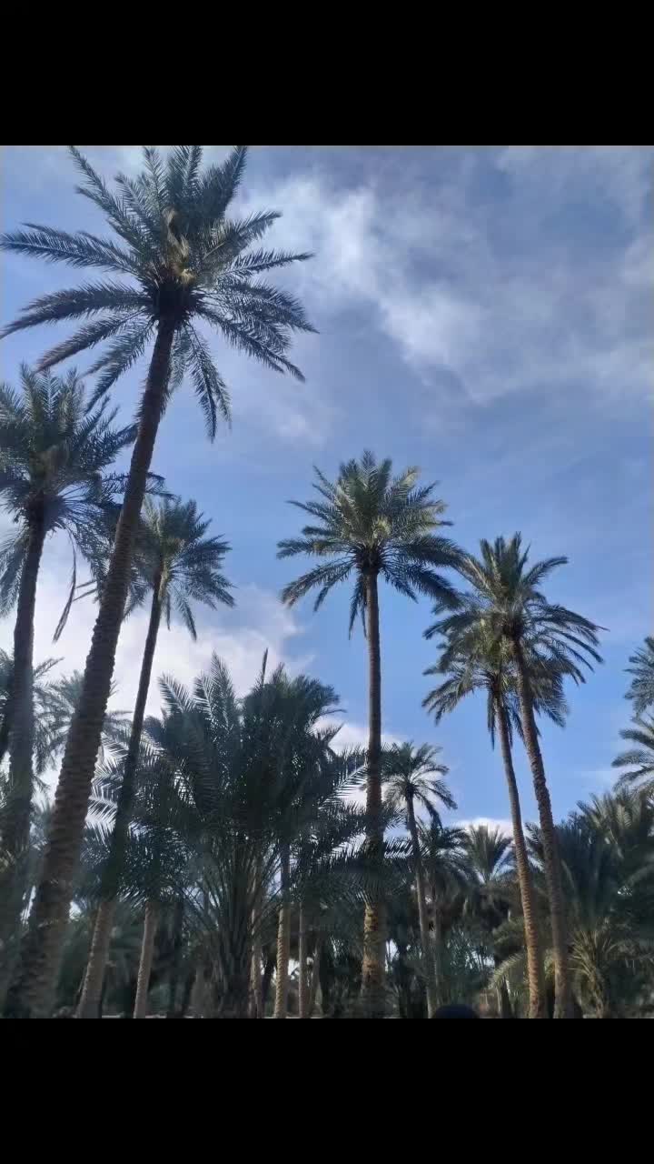 @جنه جنه
