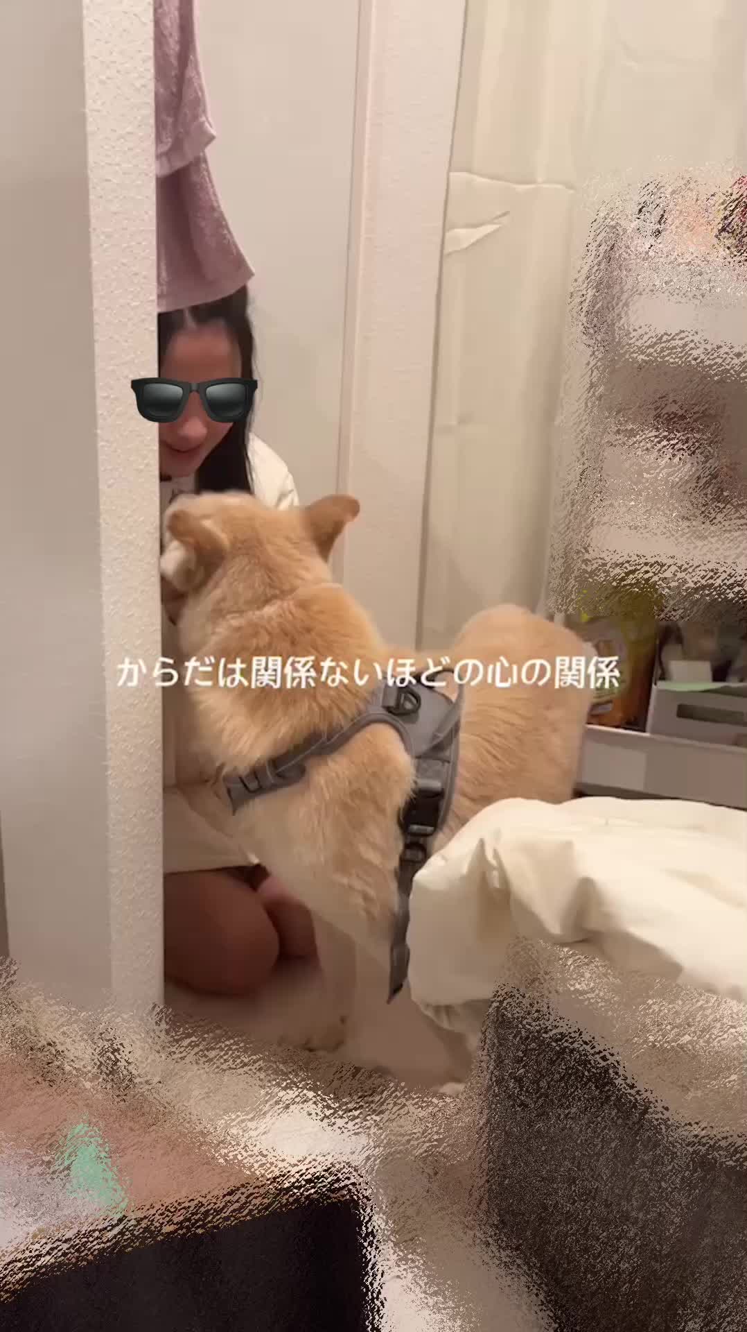 @みゆといぬ。