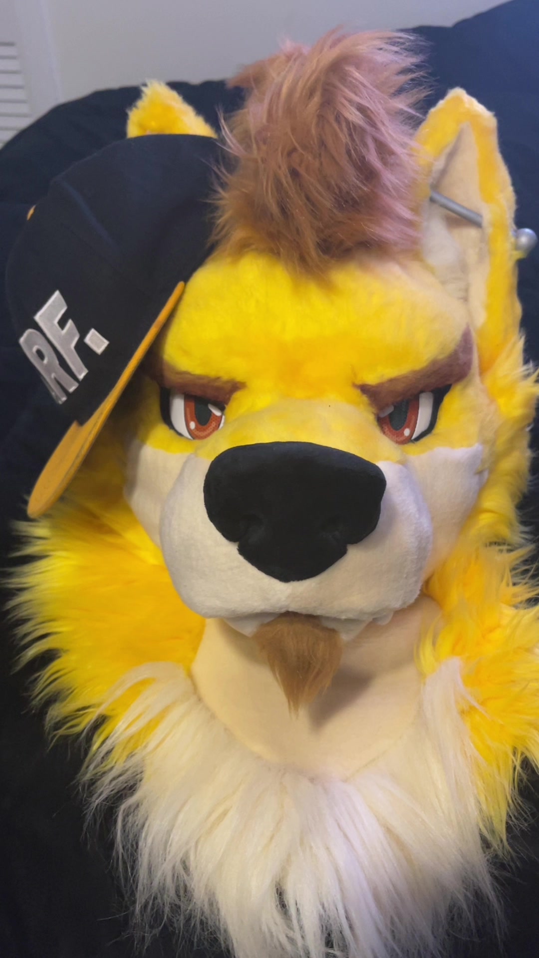 @Daxterdingo