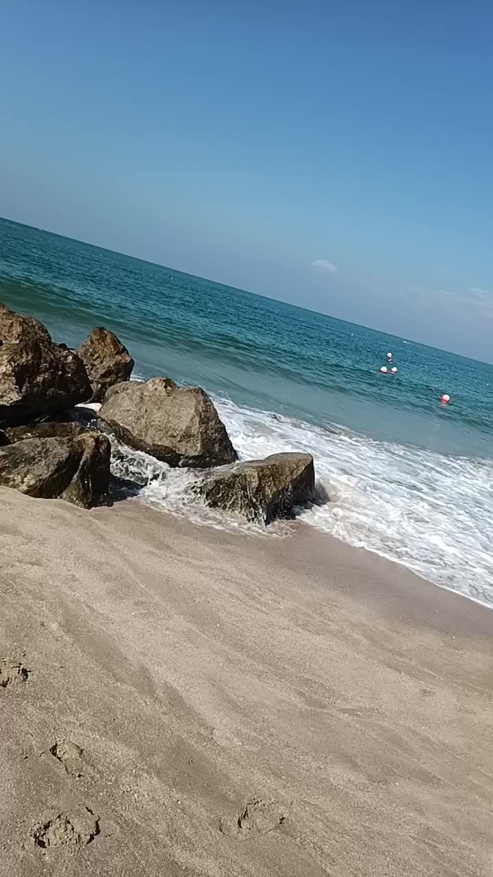 @Sangu Sangeetha❤