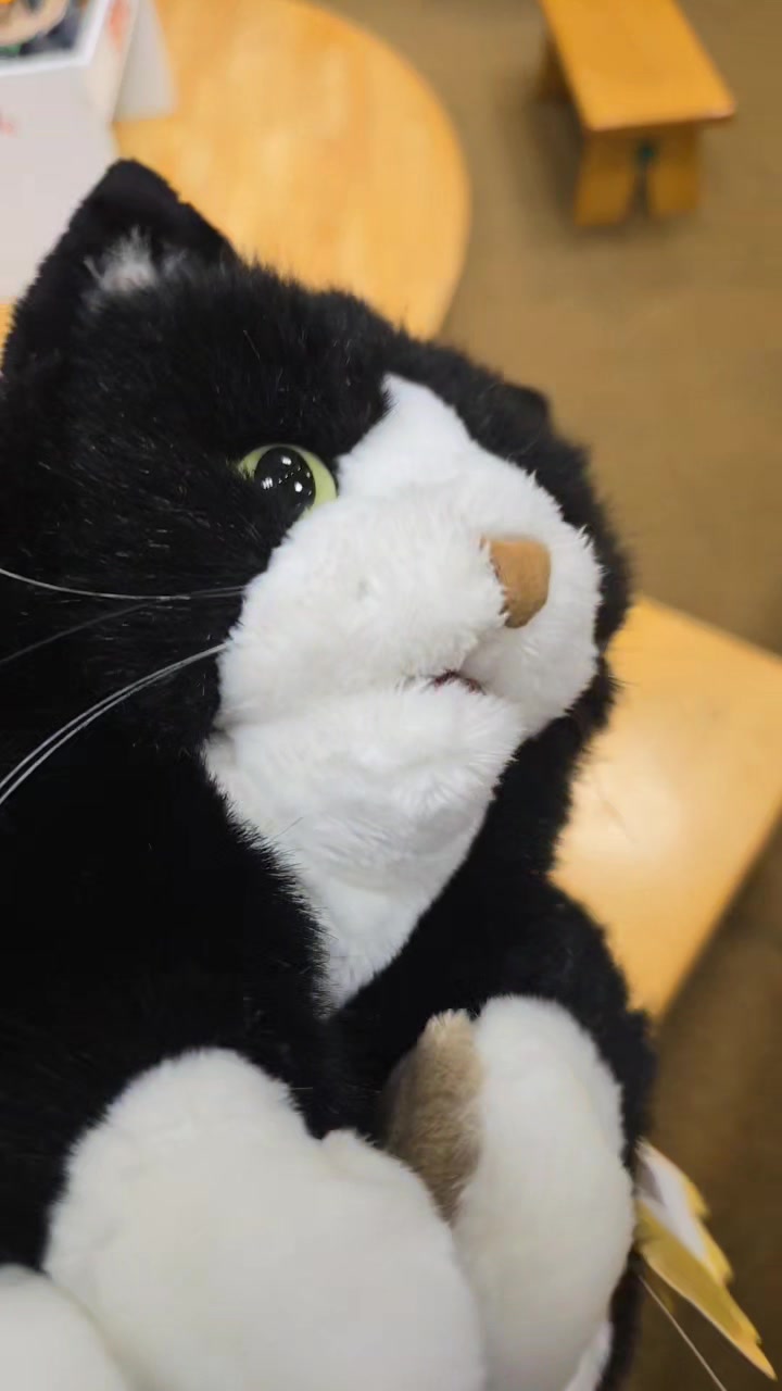 @𝙁𝙧𝙖𝙣𝙠_𝙓𝙄𝙄