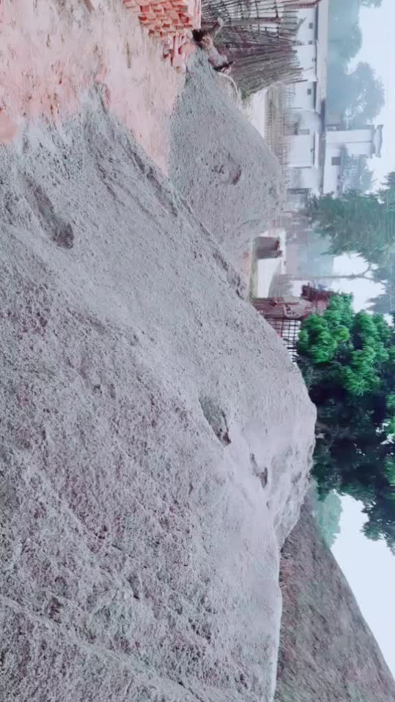 @user9956582472686