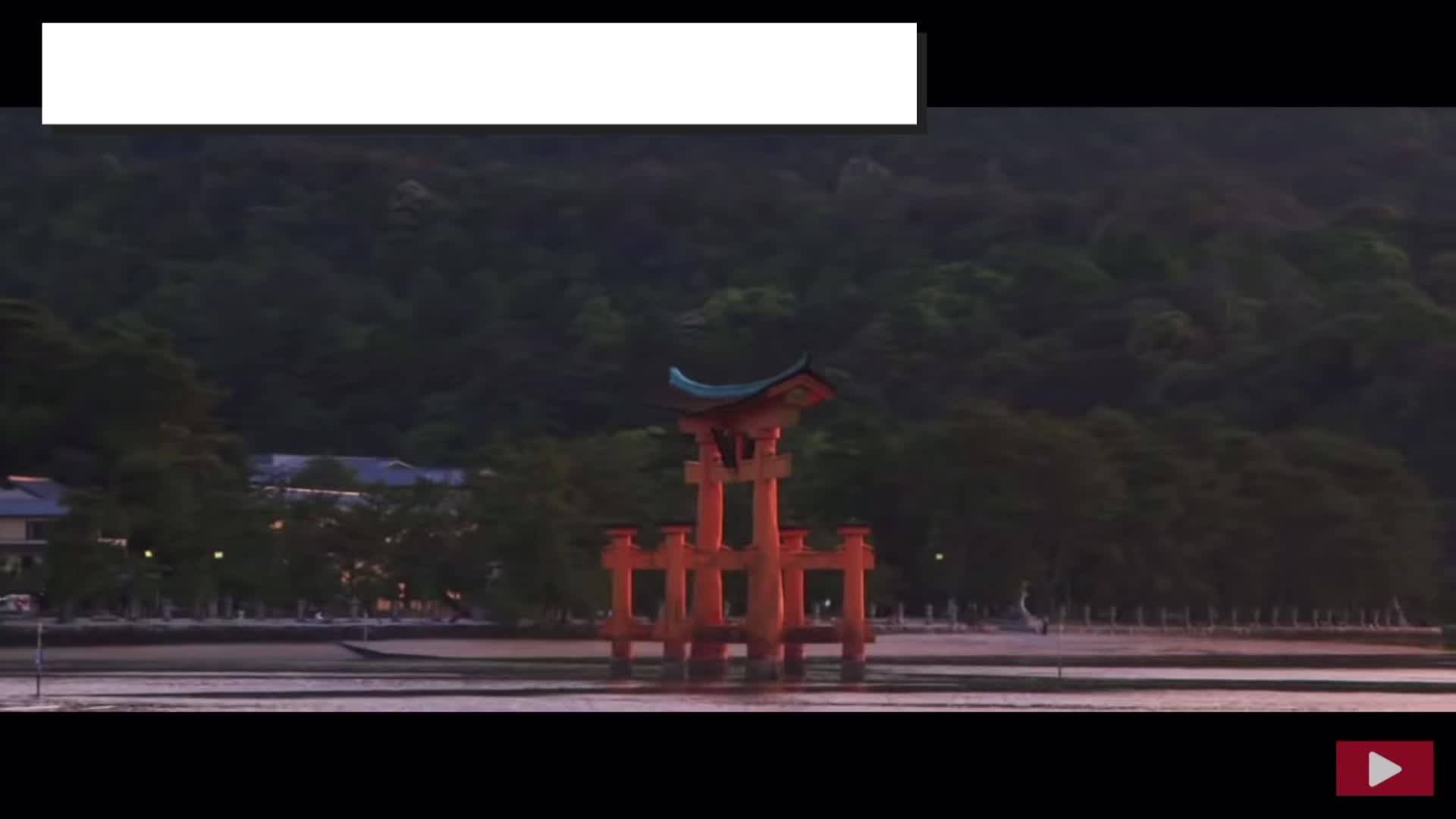 @Sheeply代表かける
